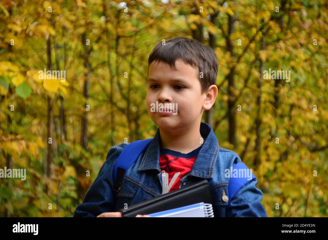A boy after school hours walks in the autumn park in a denim jacket, with textbooks and notepads, notebooks in his hands in the park among the trees Stock Photo