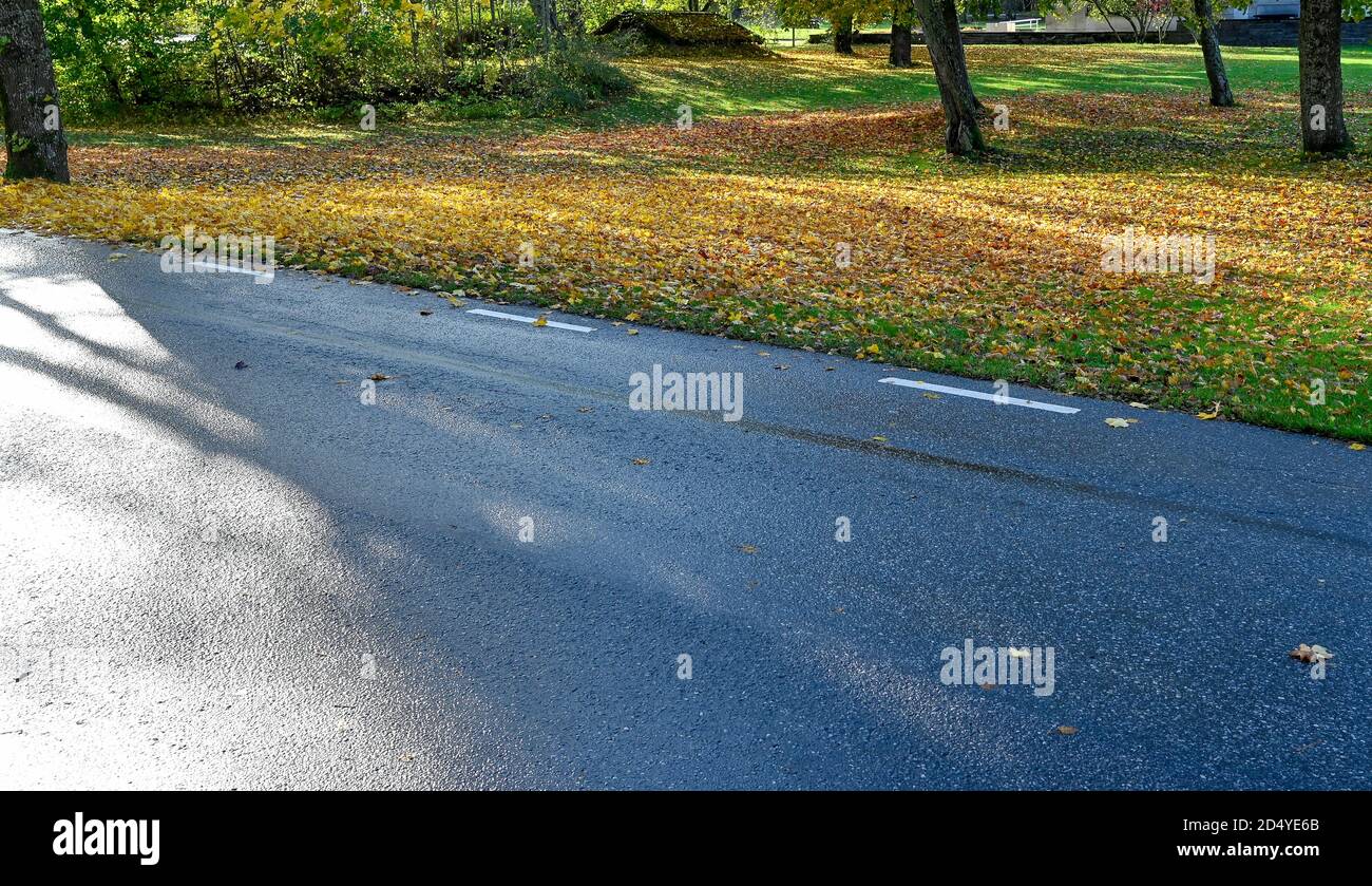 wet tarmac and park full of leaves Stock Photo Alamy