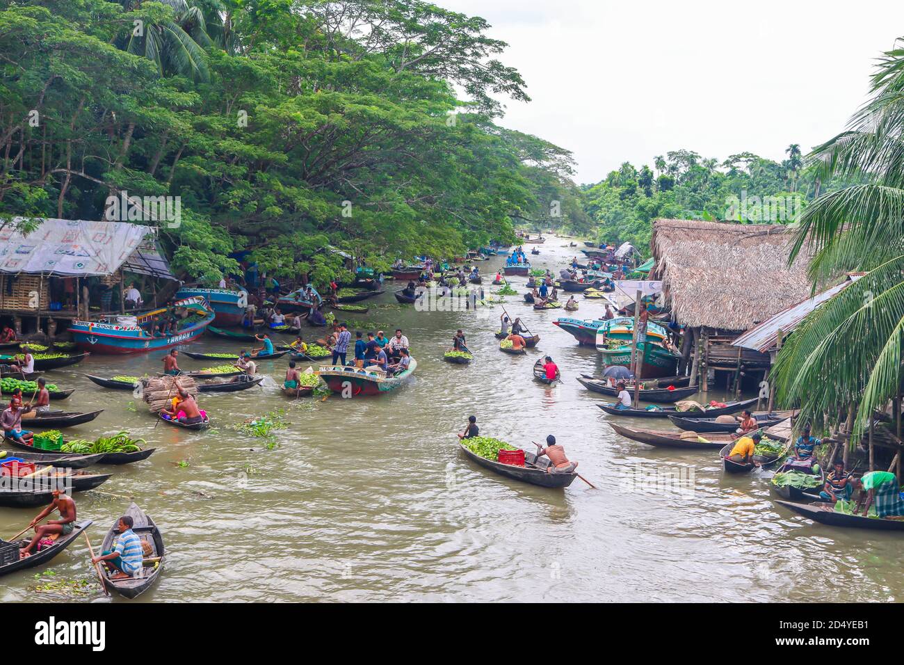 Jhalokathi, Bangladesh :  Bhimruli Floating Guava Market Stock Photo