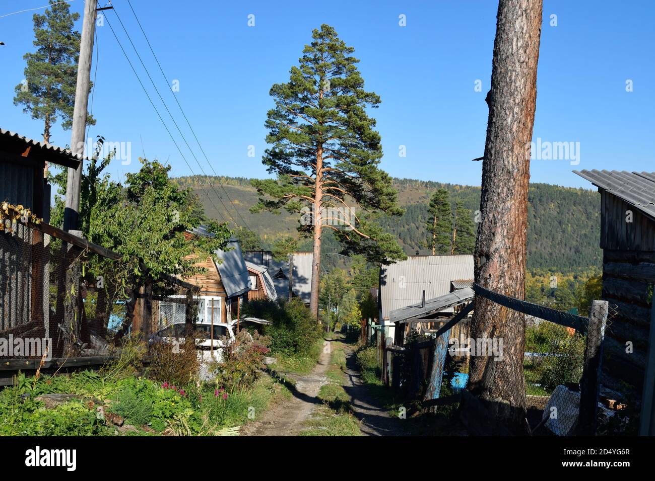 Street in a Dacha Village in Siberia, Russia Stock Photo - Alamy
