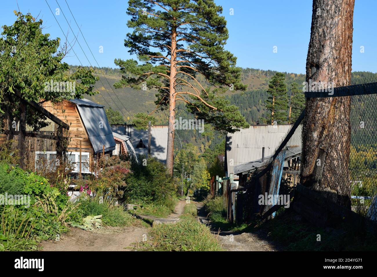 Street in a Dacha Village in Siberia, Russia Stock Photo - Alamy