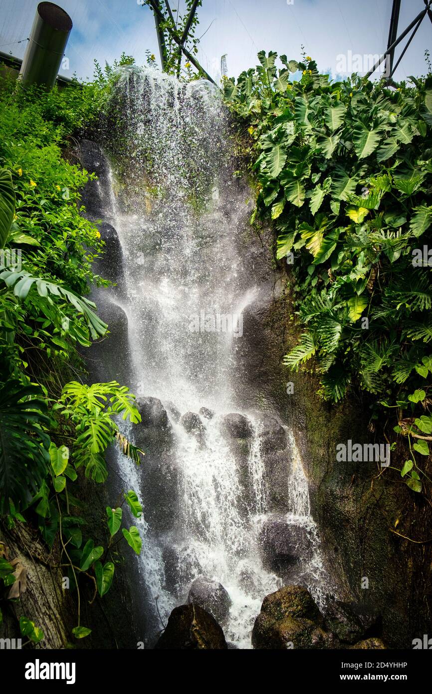 An artifical waterfall inside the rainforest Biome at the Eden project complex in Cornwall. Stock Photo