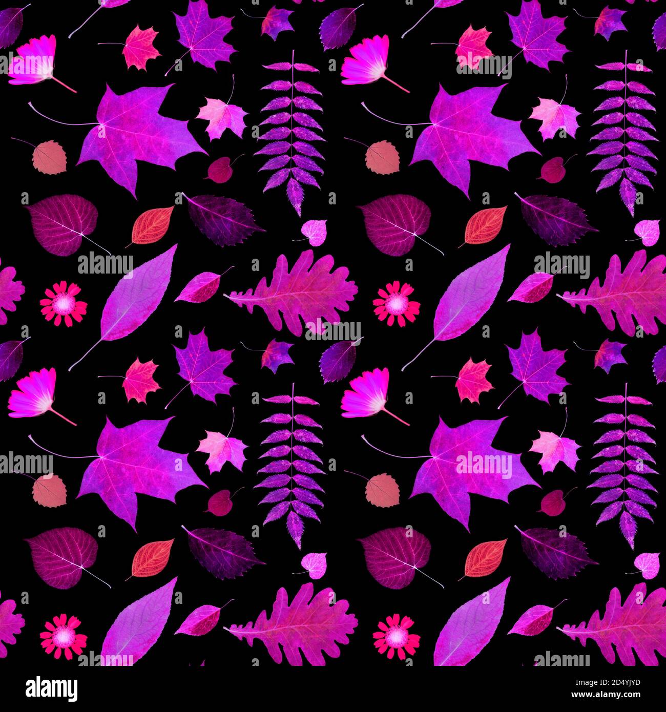 seamless pattern of autumn leaves isolated on black background Stock ...