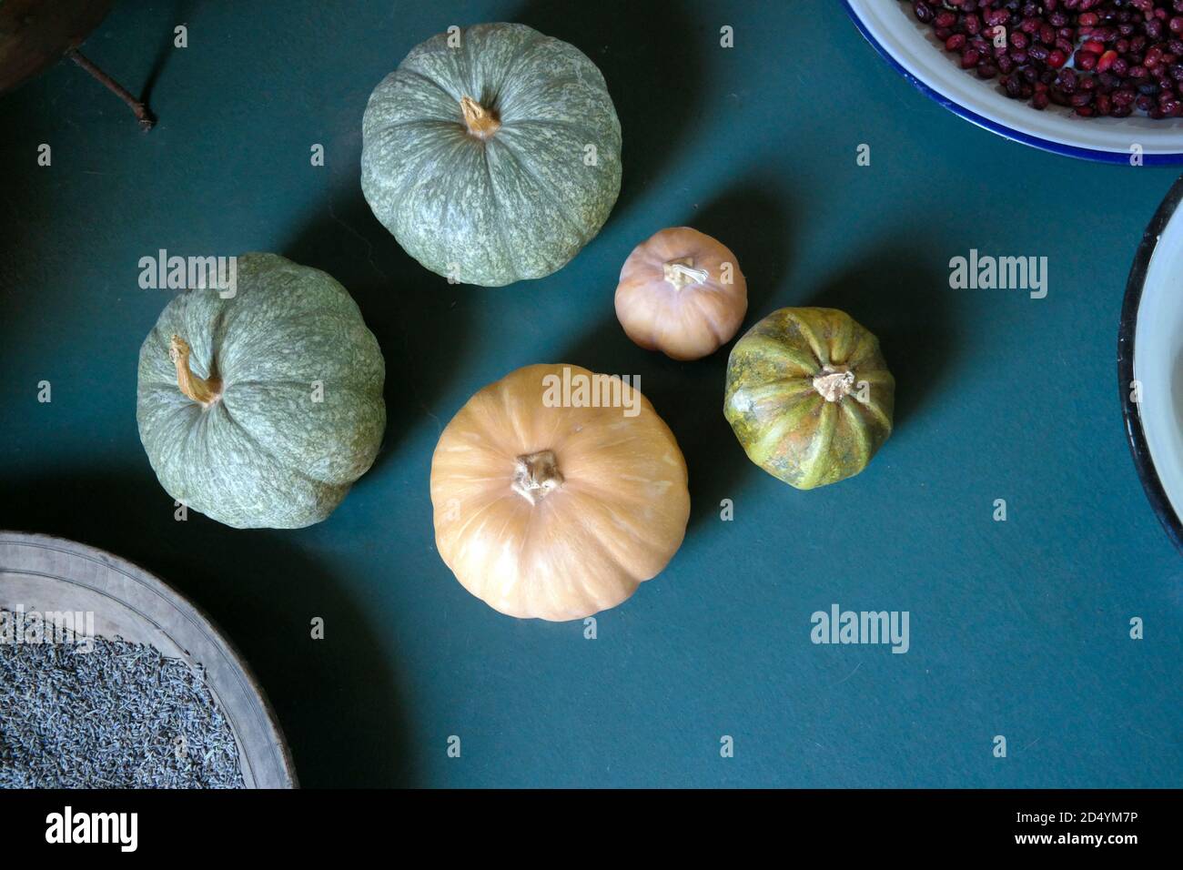 little pumpkins are on the table Stock Photo