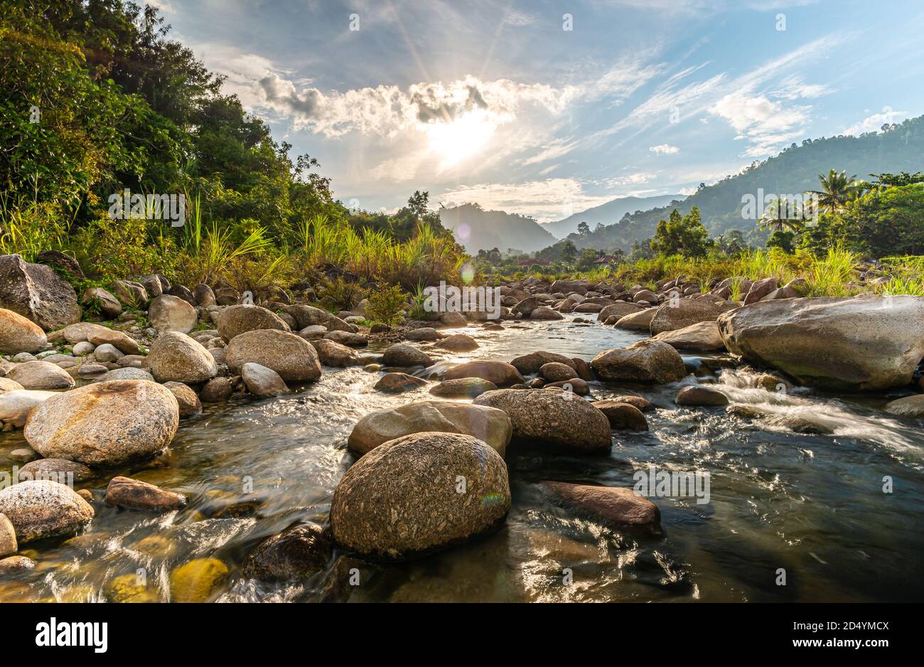 River stone and tree with sun beam, View water river tree, Stone river and sun ray in forest Stock Photo