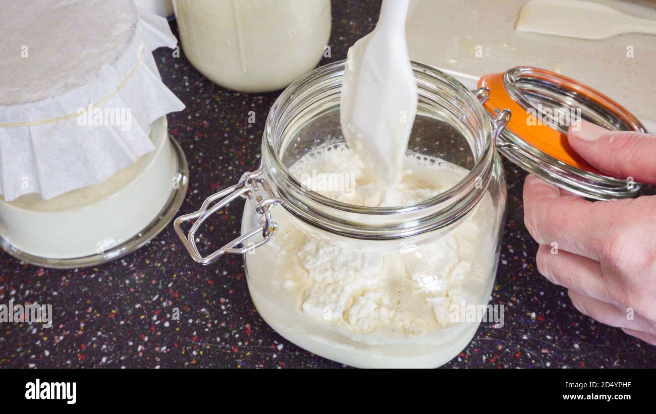 Feeding sourdough starter with water and flour Stock Photo Alamy