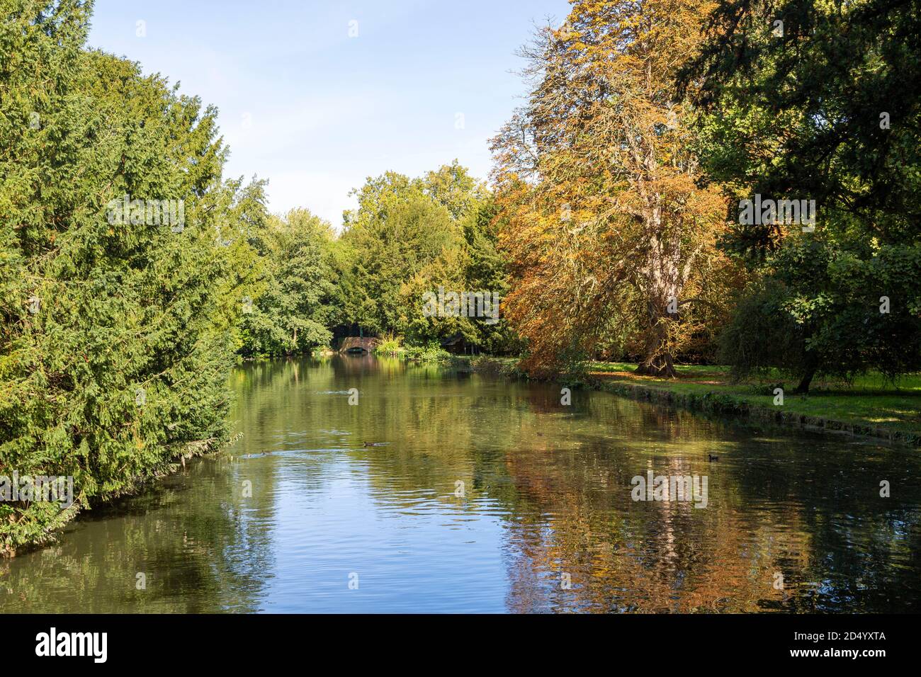 River Granta autumn tree colour, Audley End House and Gardens, Essex, England, UK Stock Photo