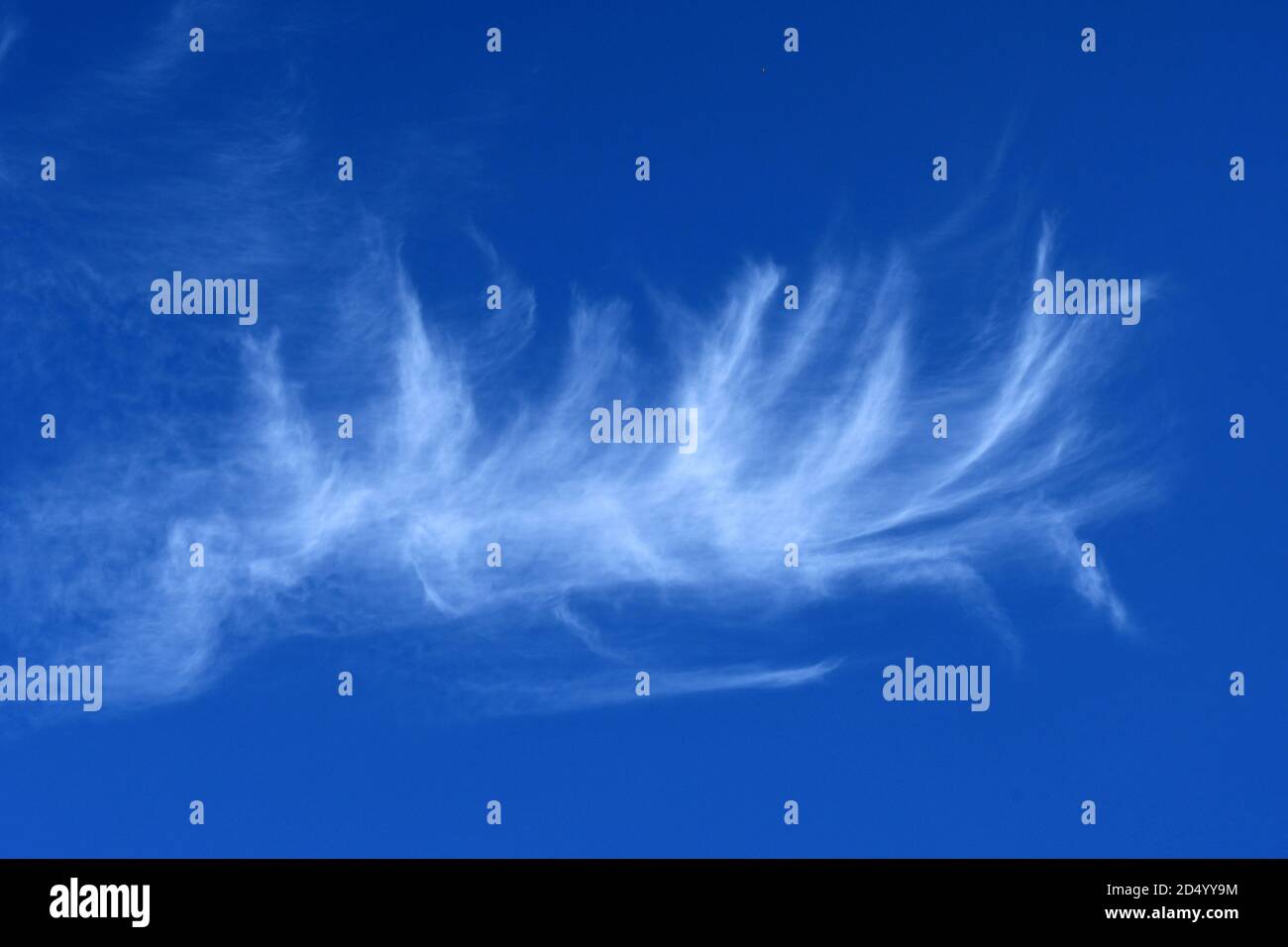 cirrus cloud, cloud in the form of a feather, France, Brittany Stock Photo