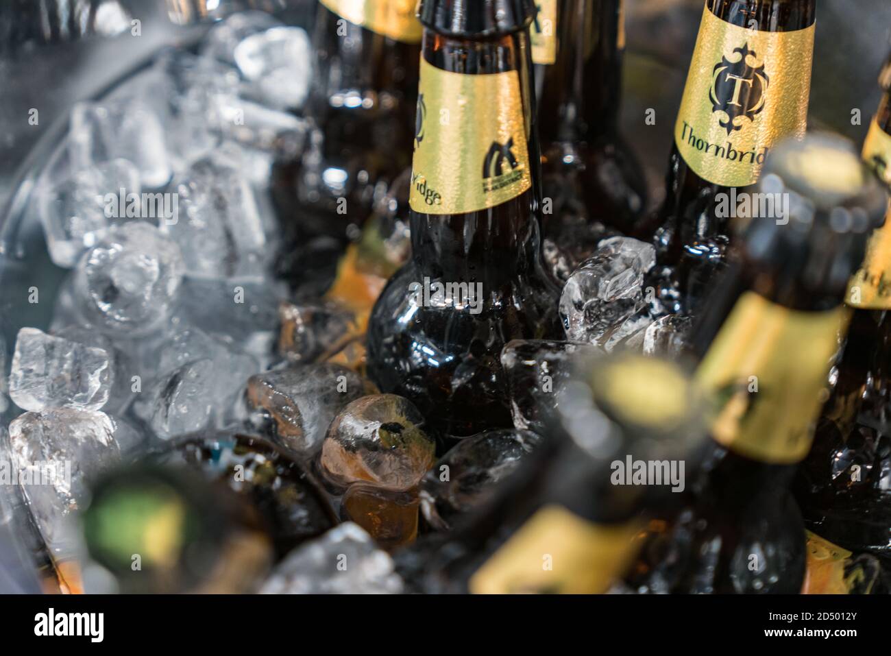 Beer bottles in a large ice bucket Stock Photo