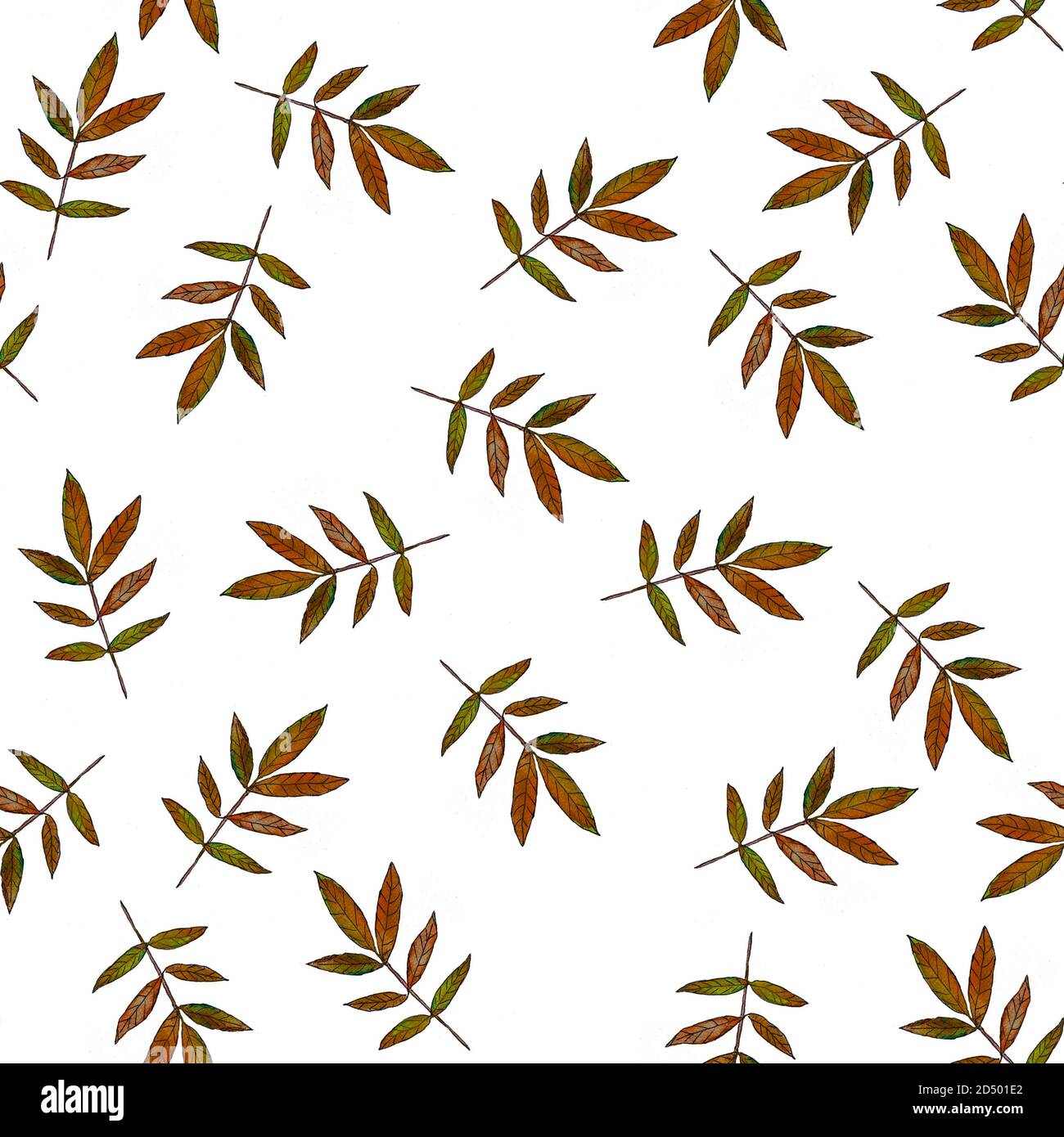 repeating watercolor pattern of autumn leaves on white background Stock Photo