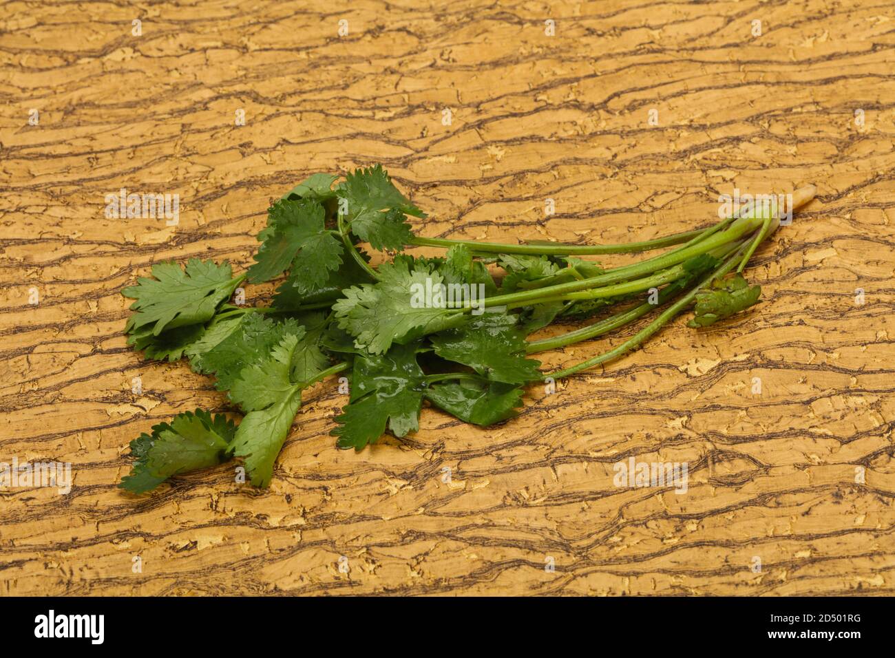 Fresh ripe Green cilantro leaves spice Stock Photo Alamy