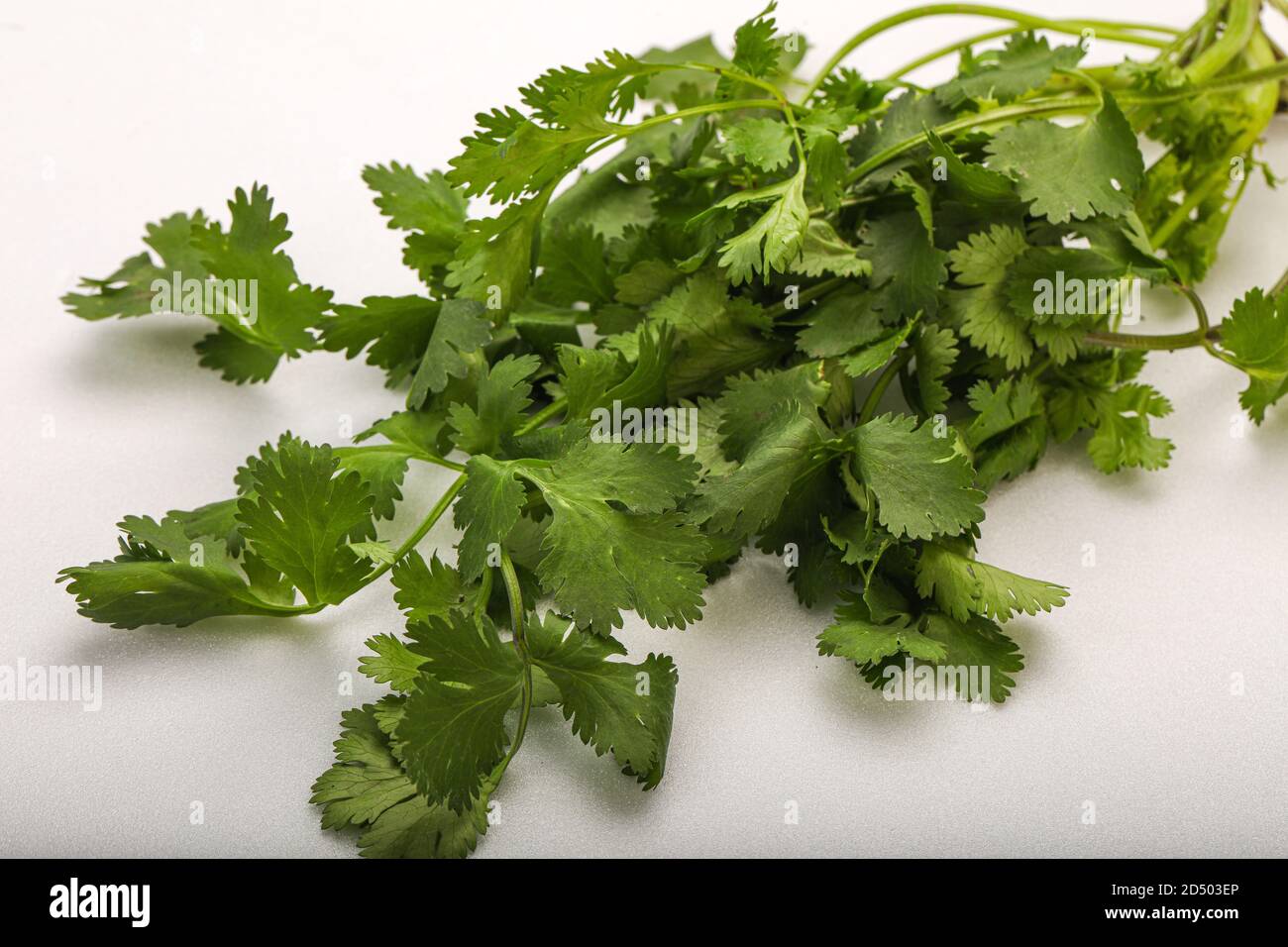 Aroma Green coriander or cilanto leaves heap Stock Photo Alamy