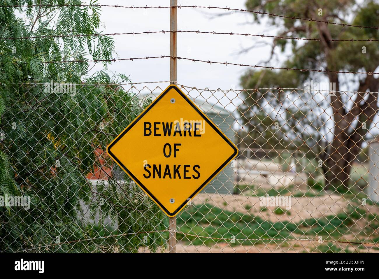 Beware of snakes yellow sign on wire fence in NSW Australia Stock Photo