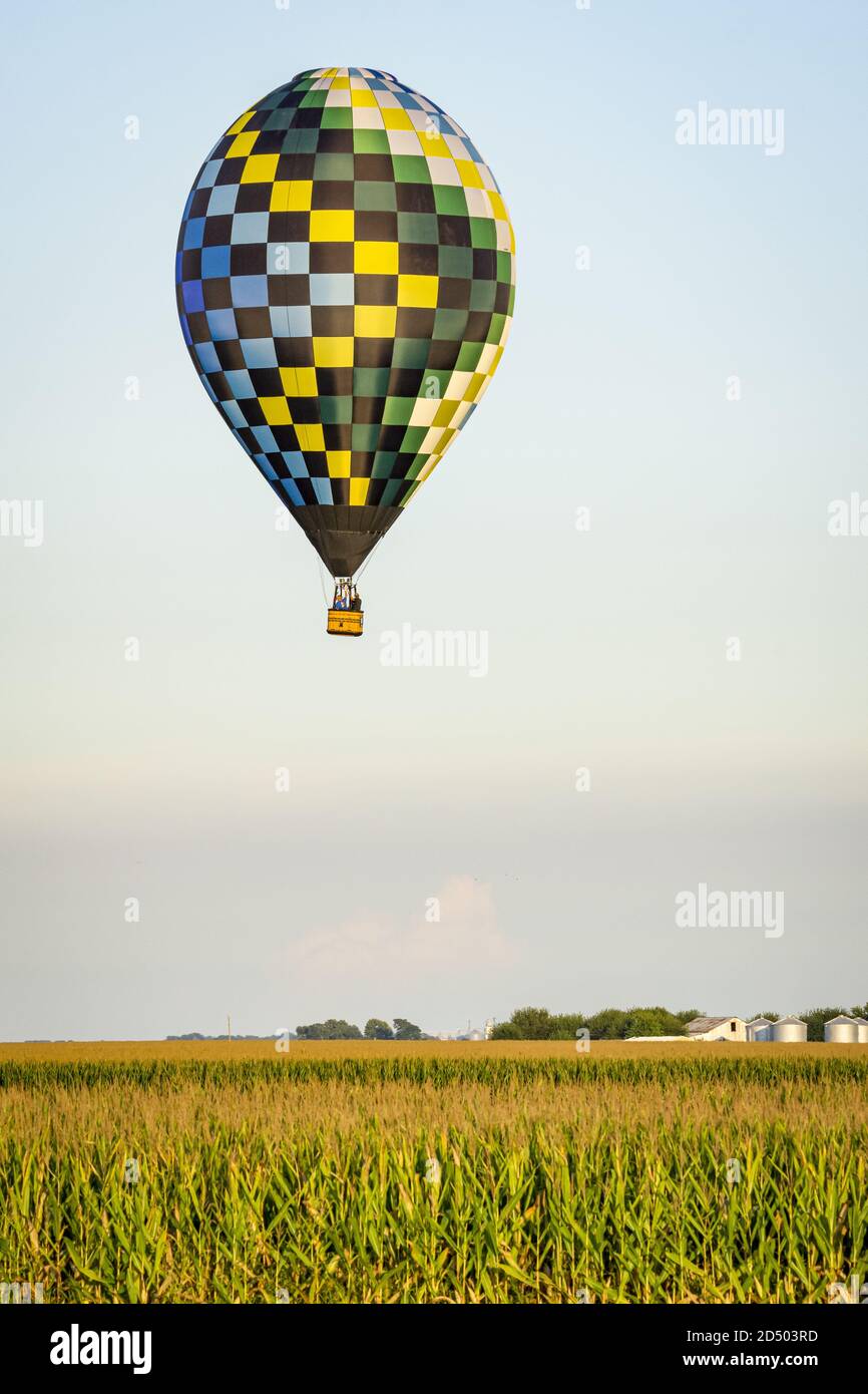 Checkered black, green, yellow, blue hot air balloon flies over cornfield white farm in distance. Stock Photo
