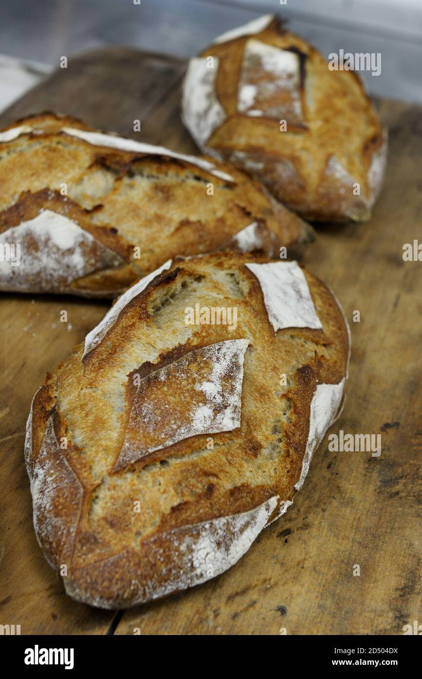 Country style bread Stock Photo Alamy