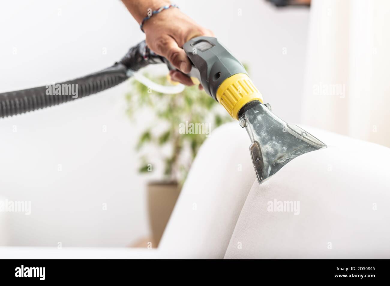 Chemical sofa depth cleaning by a professional Stock Photo Alamy