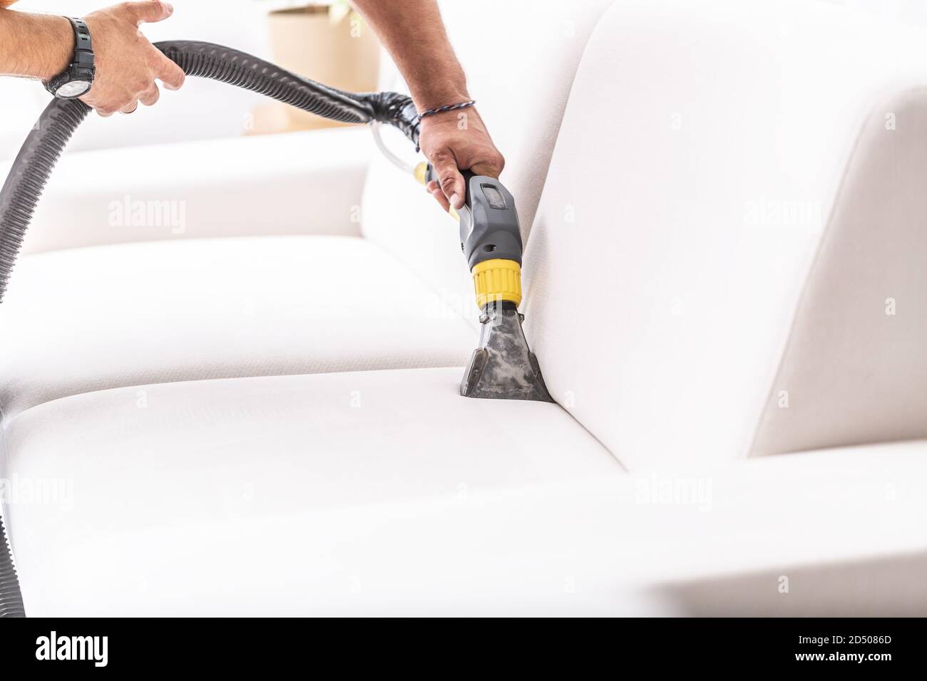 Professional sofa and couch cleaning service Stock Photo Alamy