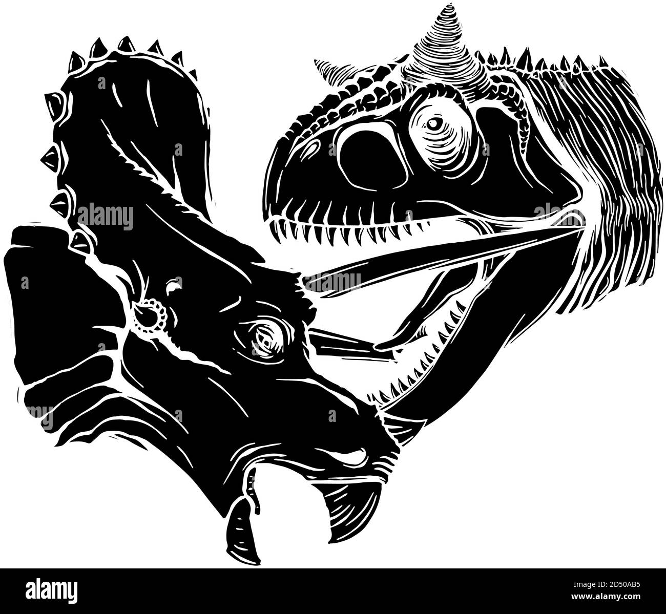 T Rex Versus Triceratops illustration black silhouette tyrannosaurs rex attacking a triceratops dinosaur Stock Vector