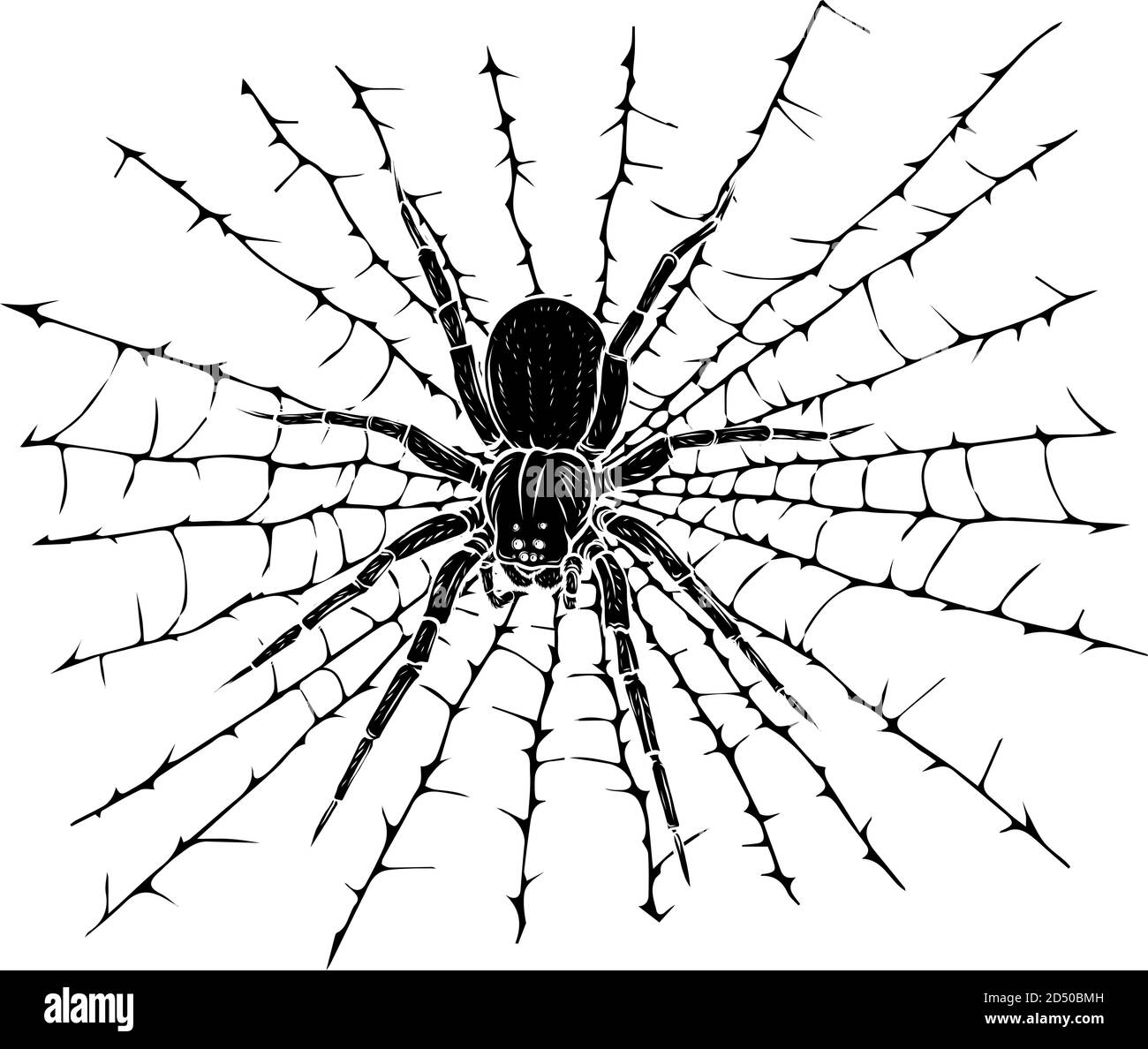Vector Illustration of a black silhouette Spider and a Web Stock Vector