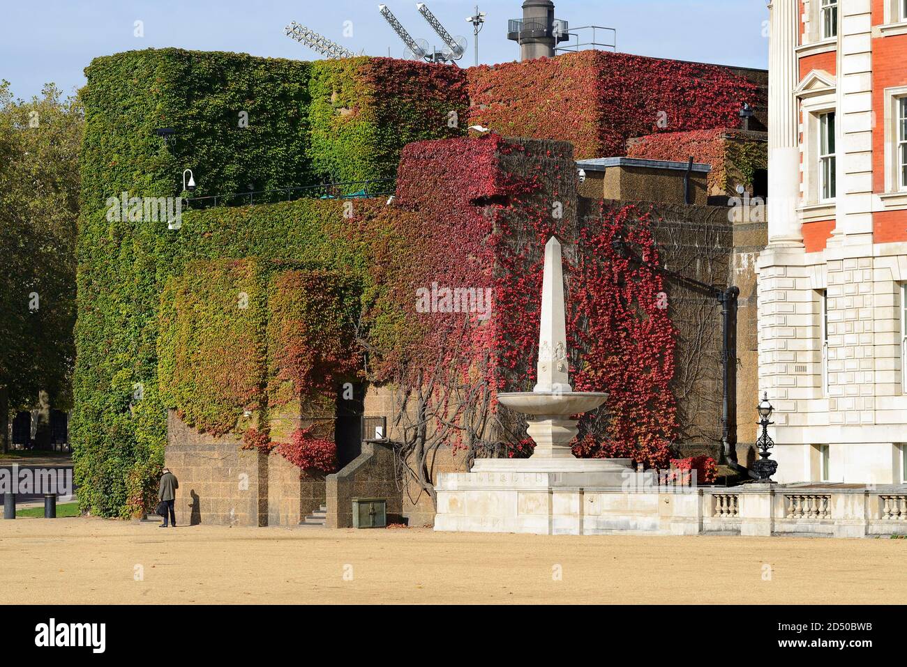 London, England, UK. Horse Guards Parade - Virginia Creeper (Parthenocissus quinquefolia) changes colour as autumn arrives - early October 2020. Royal Stock Photo