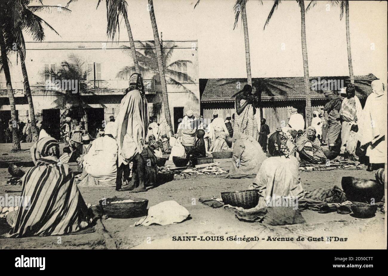 Carte Postale Ancienne – SÉNÉGAL – Saint-Louis – Avenue Dodds – N'Dar-Toute – Originale