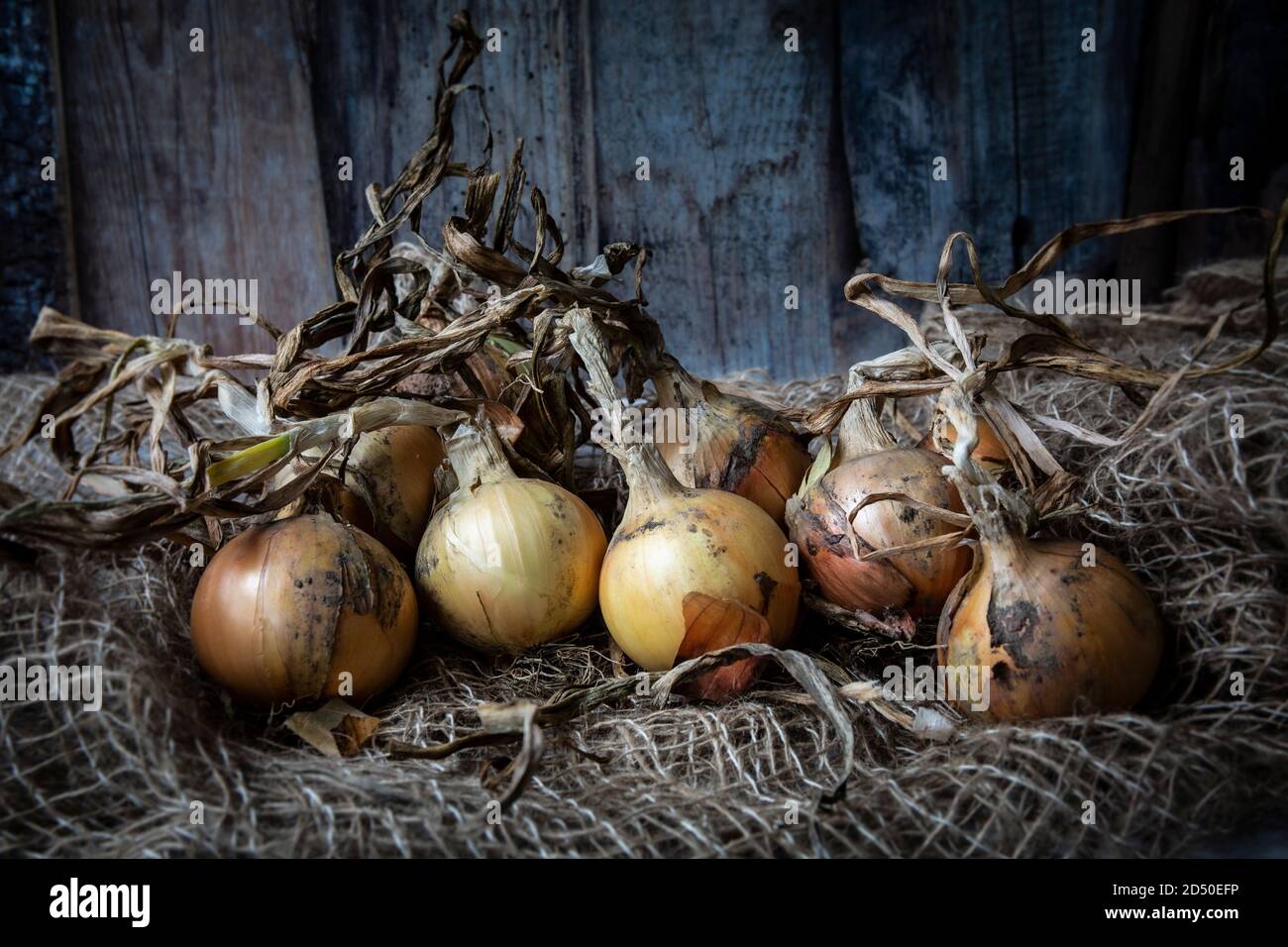 Chef adding sugar to a pan in a restaurant Stock Photo