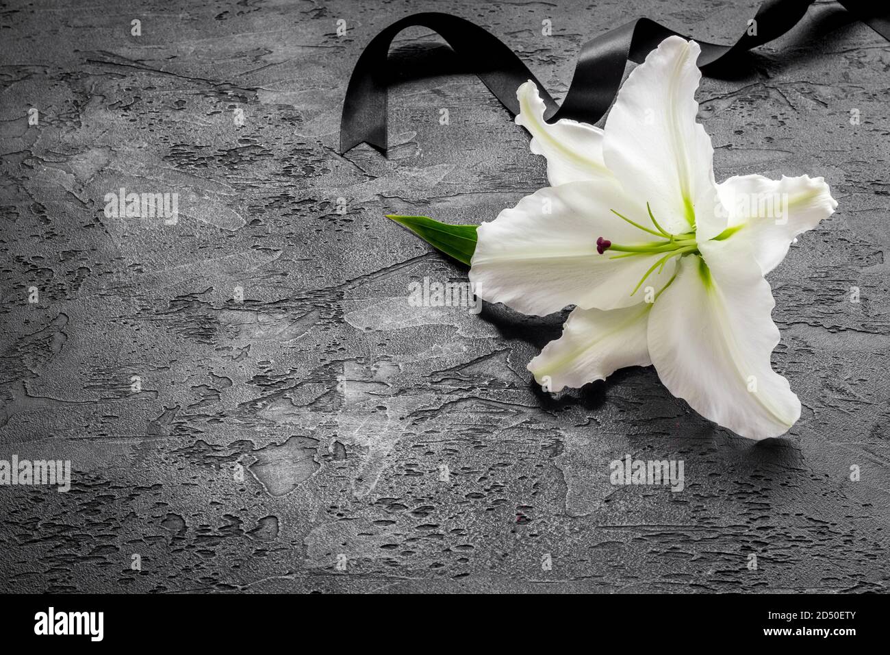White Lilies Sad Loss of Wife Sympathy Condolence Card