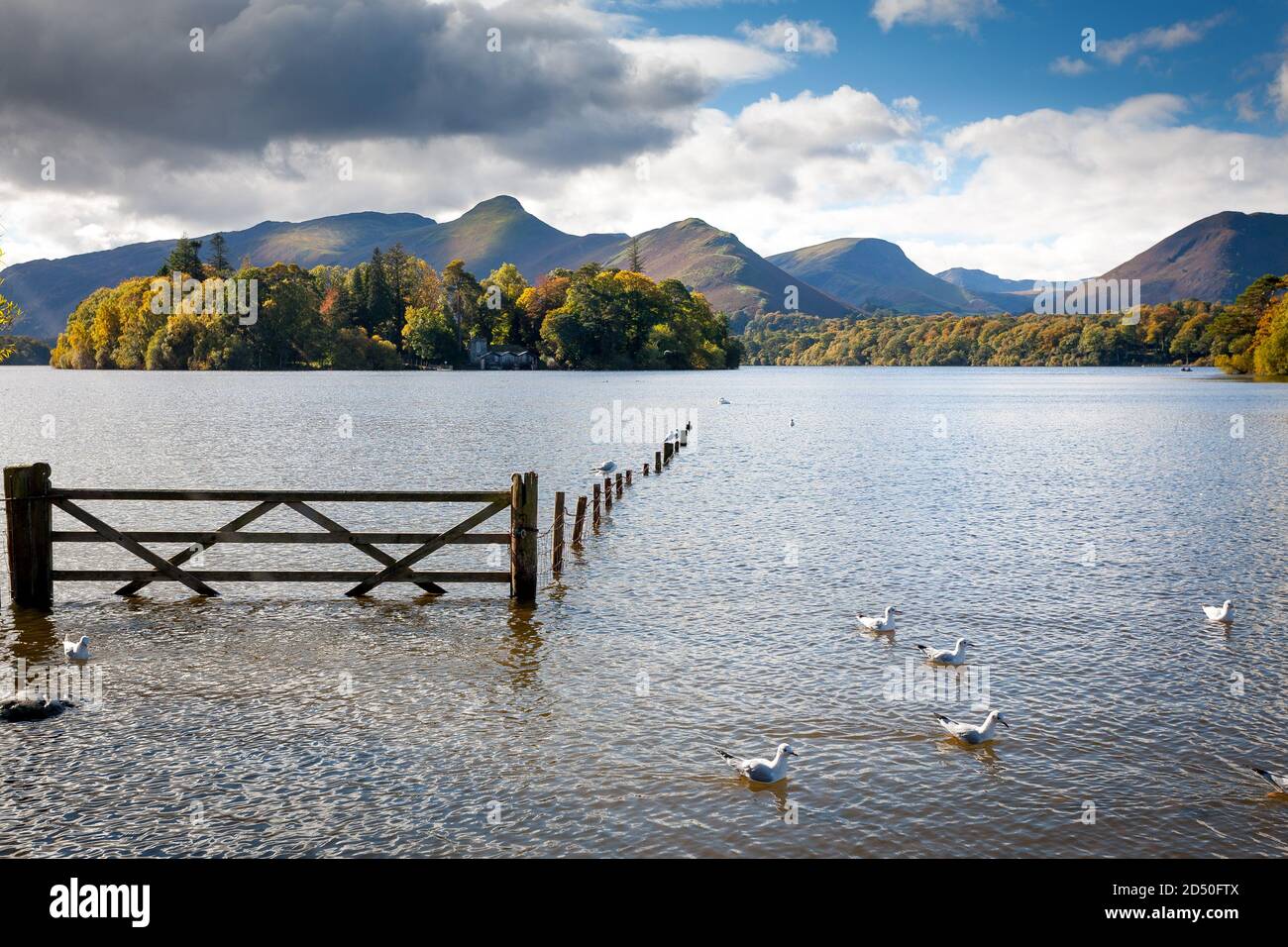 Submerged gate in a tranquil bay on Lake Derwentwater in the English Lake District Stock Photo