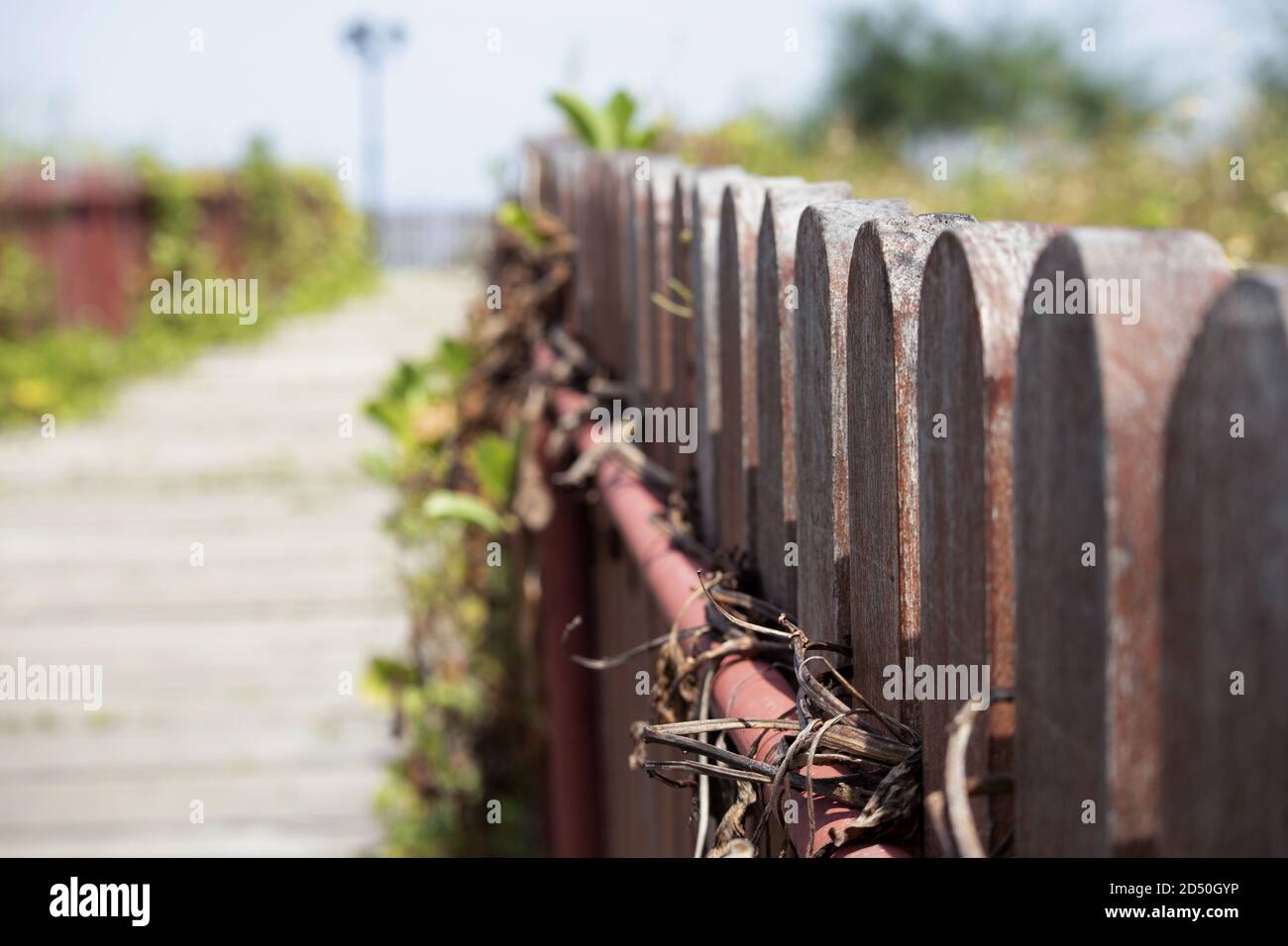 Wooden Fence design in park Stock Photo - Alamy