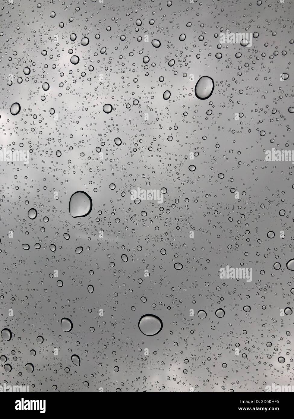 A collection of rain droplets on the sunroof of a car during a monsoon downpour Stock Photo Alamy