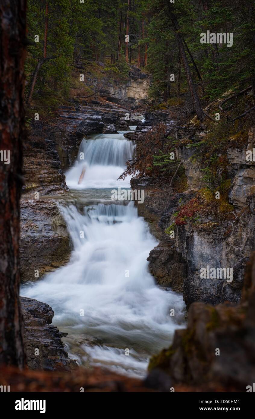 Waterfalls-Beauty Creek Waterfalls-Icefields Parkway, Banff National Park Stock Photo