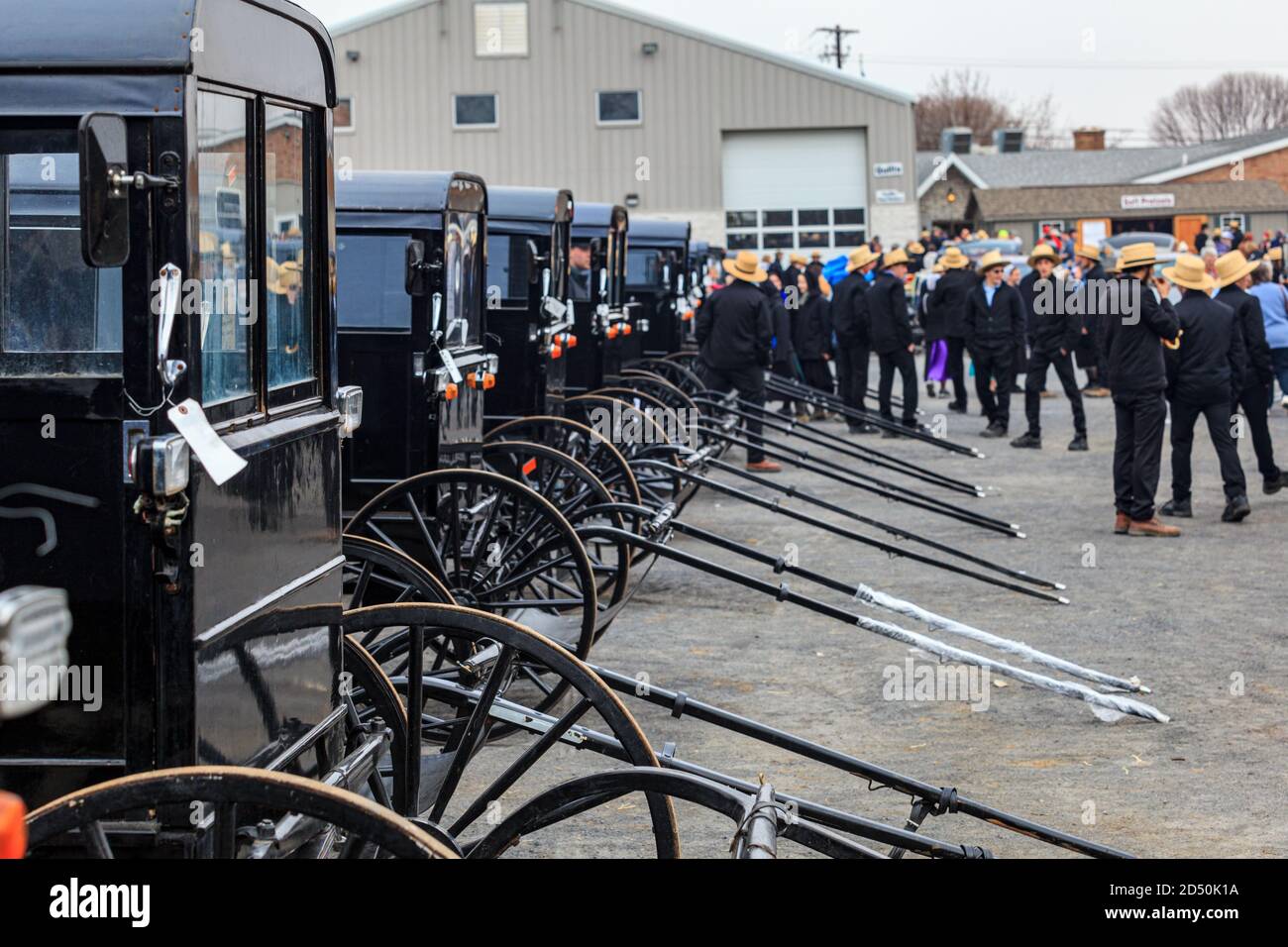 Bart, PA, USA - March 5, 2011: Amish buggies soon to be sold at the annual mud sale at the Bart Fire Company in Lancaster County, PA. Stock Photo