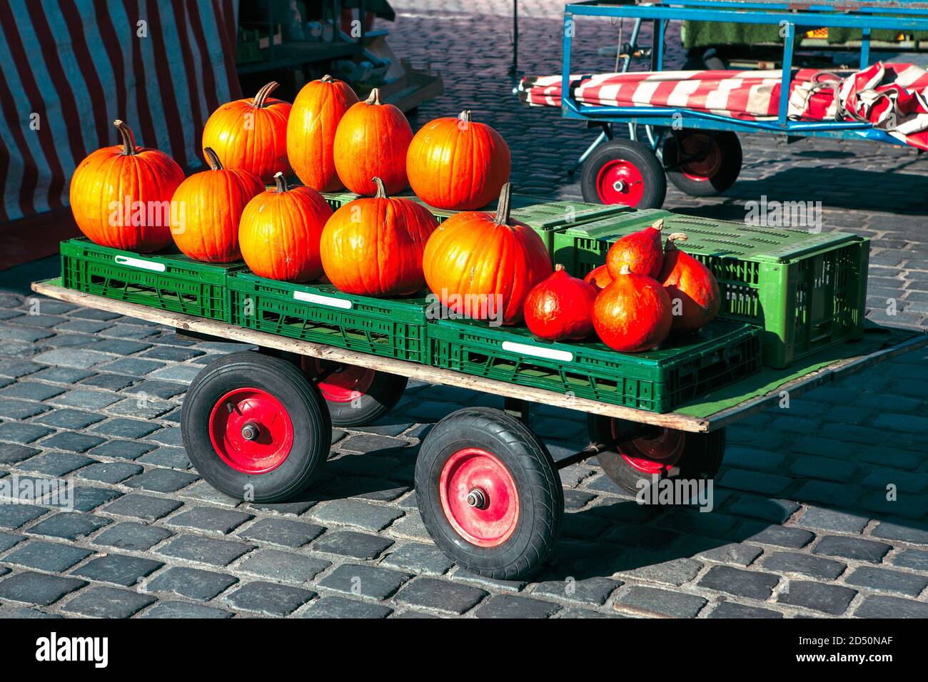 Pile of pumpkins in carriage at the market place Stock Photo