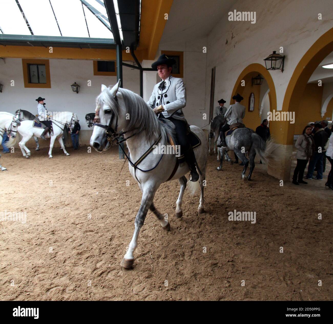 Royal Andalusian School of Equestrian Art (Real Escuela Andaluza del ...