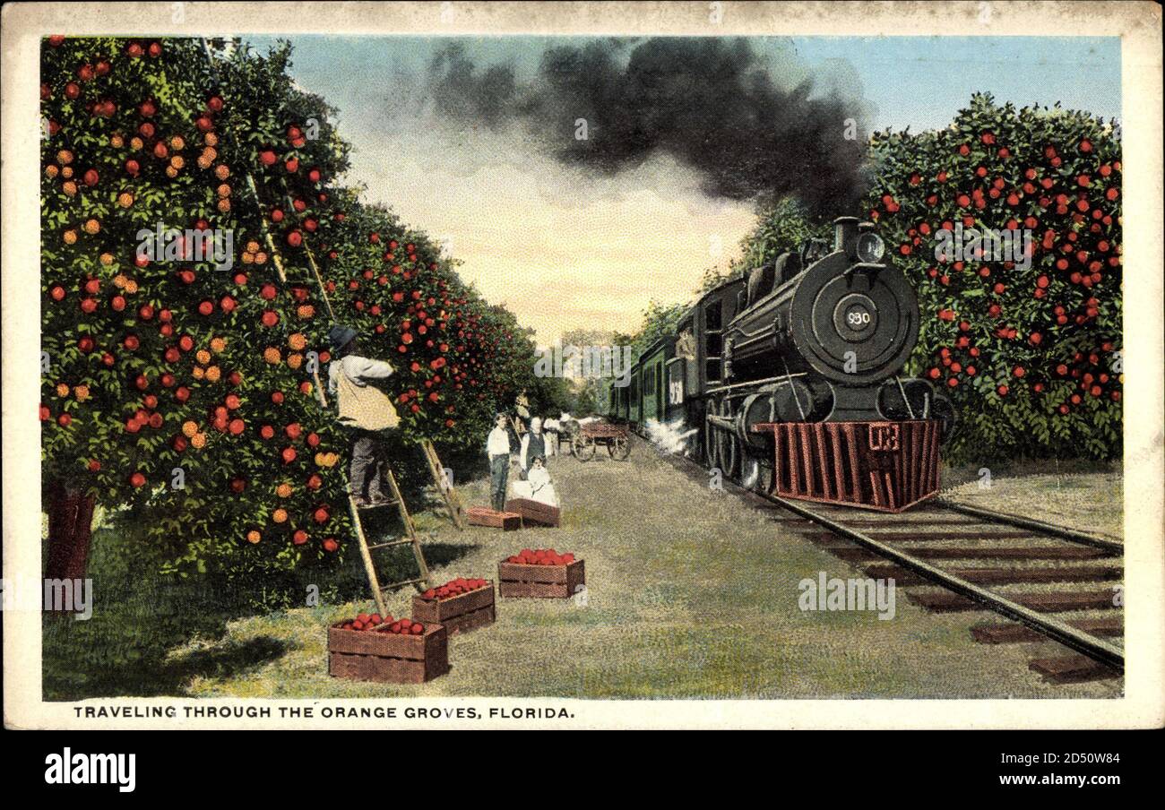 Traveling through the Orange Groves, Florida USA, Steam Locomotive | usage worldwide Stock Photo