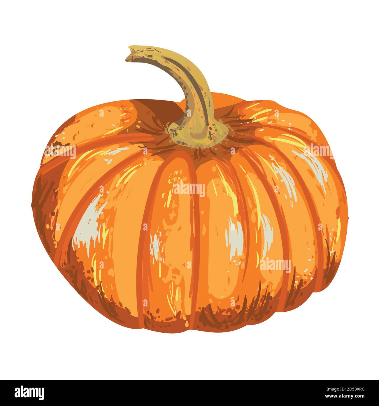 vector isolated pumpkin for an autumn design Stock Vector