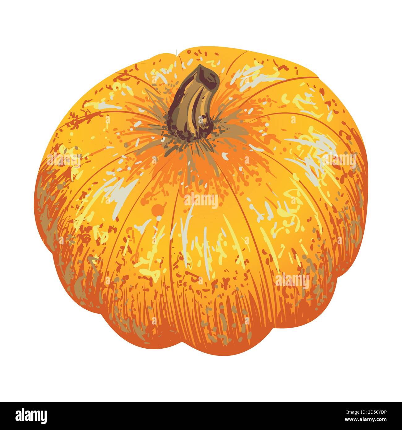 vector isolated pumpkin for an autumn design Stock Vector