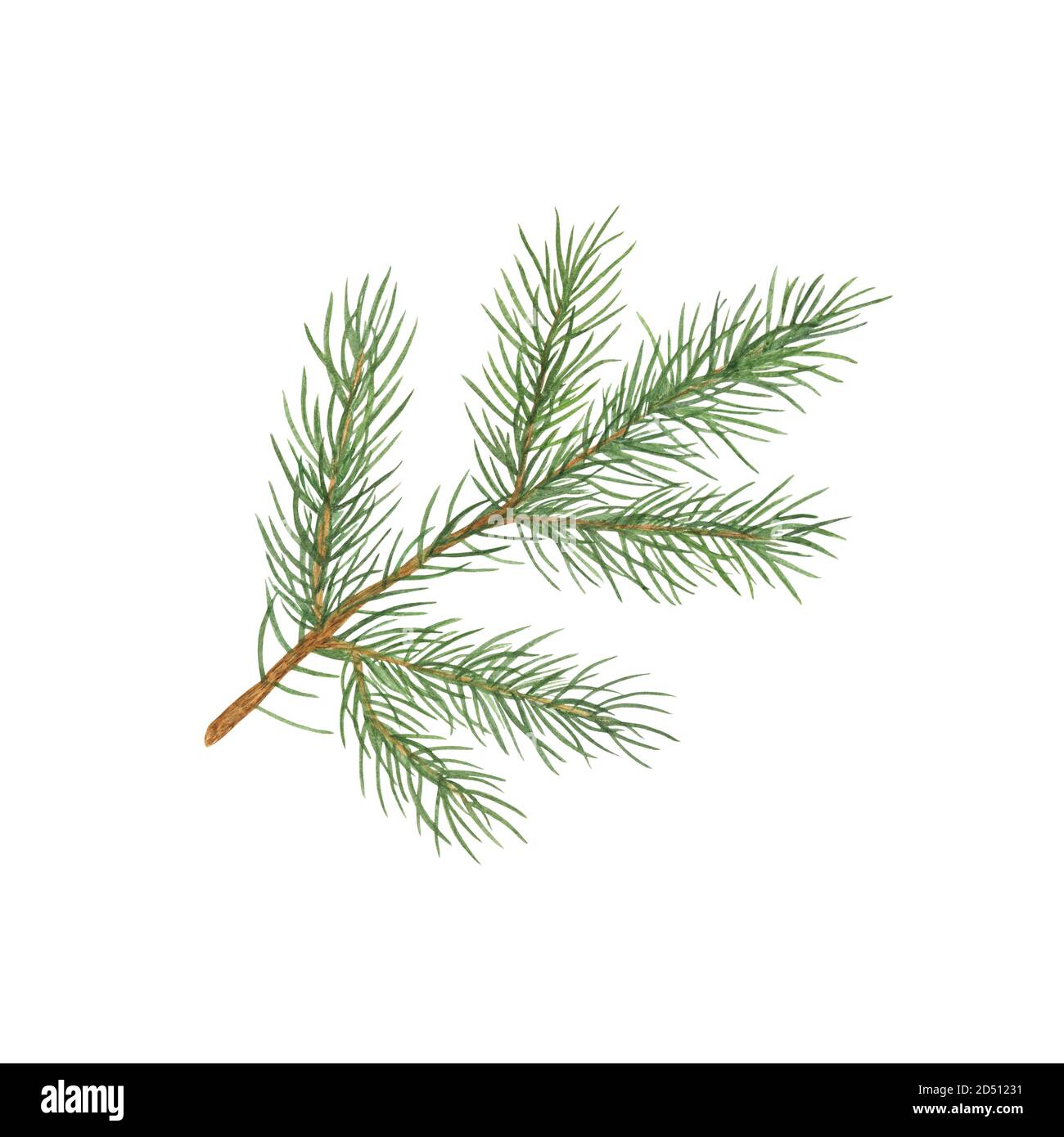 Fir tree branch isolated watercolor illustration simple hand drawn festive  mood pattern for greeting card, banner, winter holiday celebration design  Stock Photo - Alamy