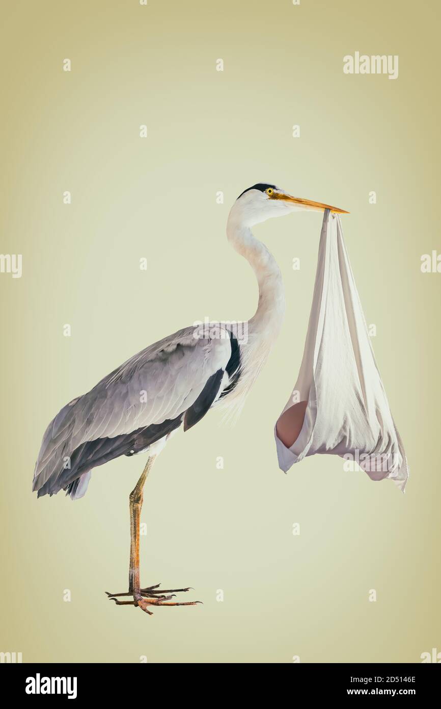 Retro styled image of a stork holding a newborn baby in a white blanket Stock Photo