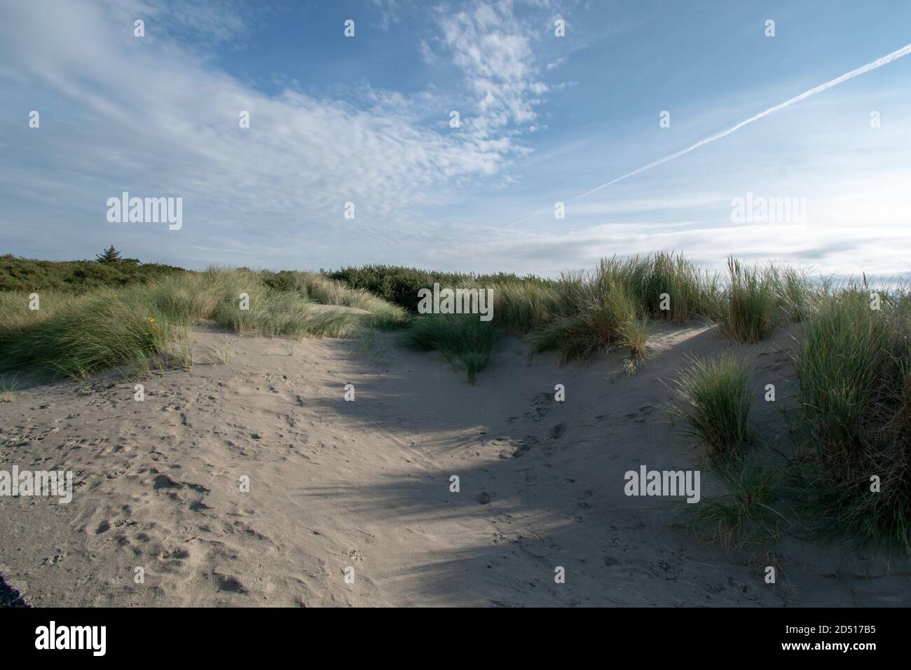 Sandy path with surrounding greenery under the clear sky Stock Photo ...