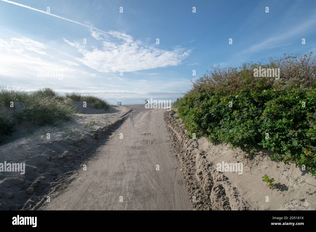 Sandy path with surrounding greenery under the clear sky Stock Photo ...