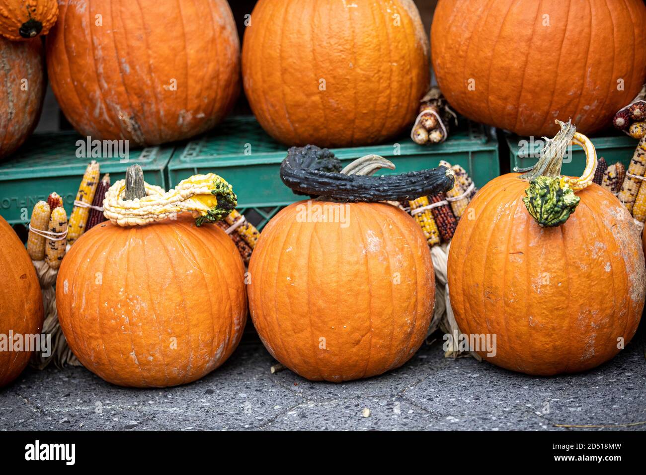 Pumpkins on display at a farmers market Stock Photo - Alamy