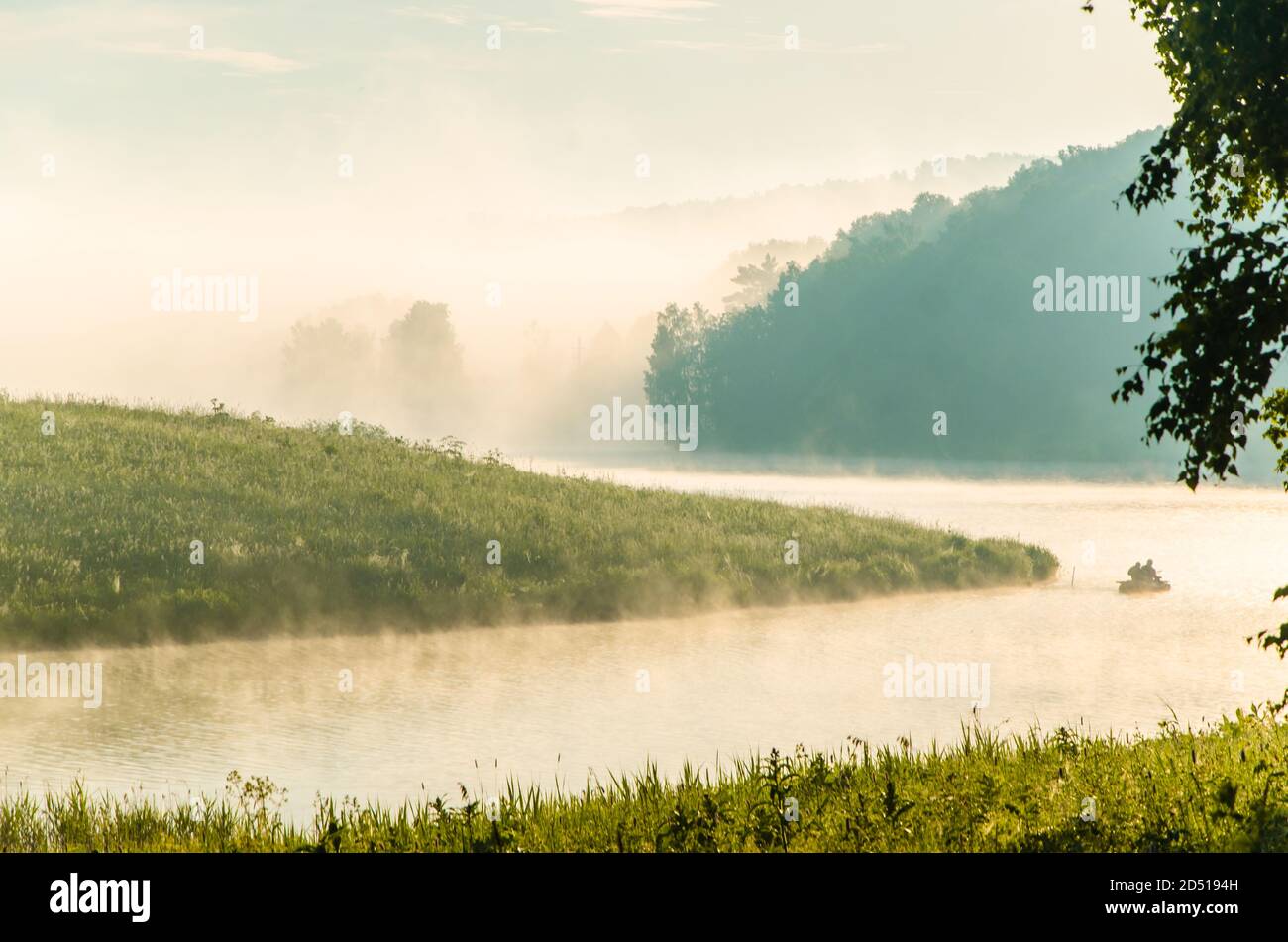 thick morning fog in the summer forest near the reservoir Stock Photo ...