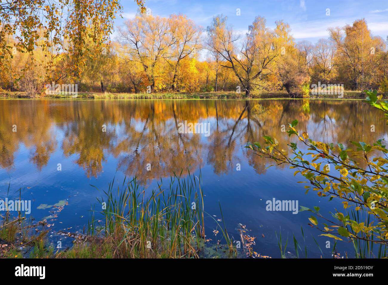 Canada Maple Autumn Landscape High Resolution Stock Photography and ...