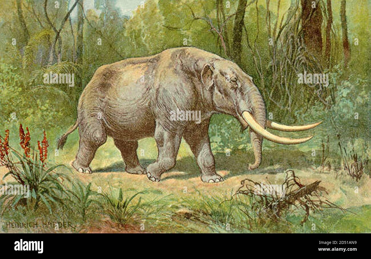 vintage dinosaur extinct animal illustration Stock Photo Alamy