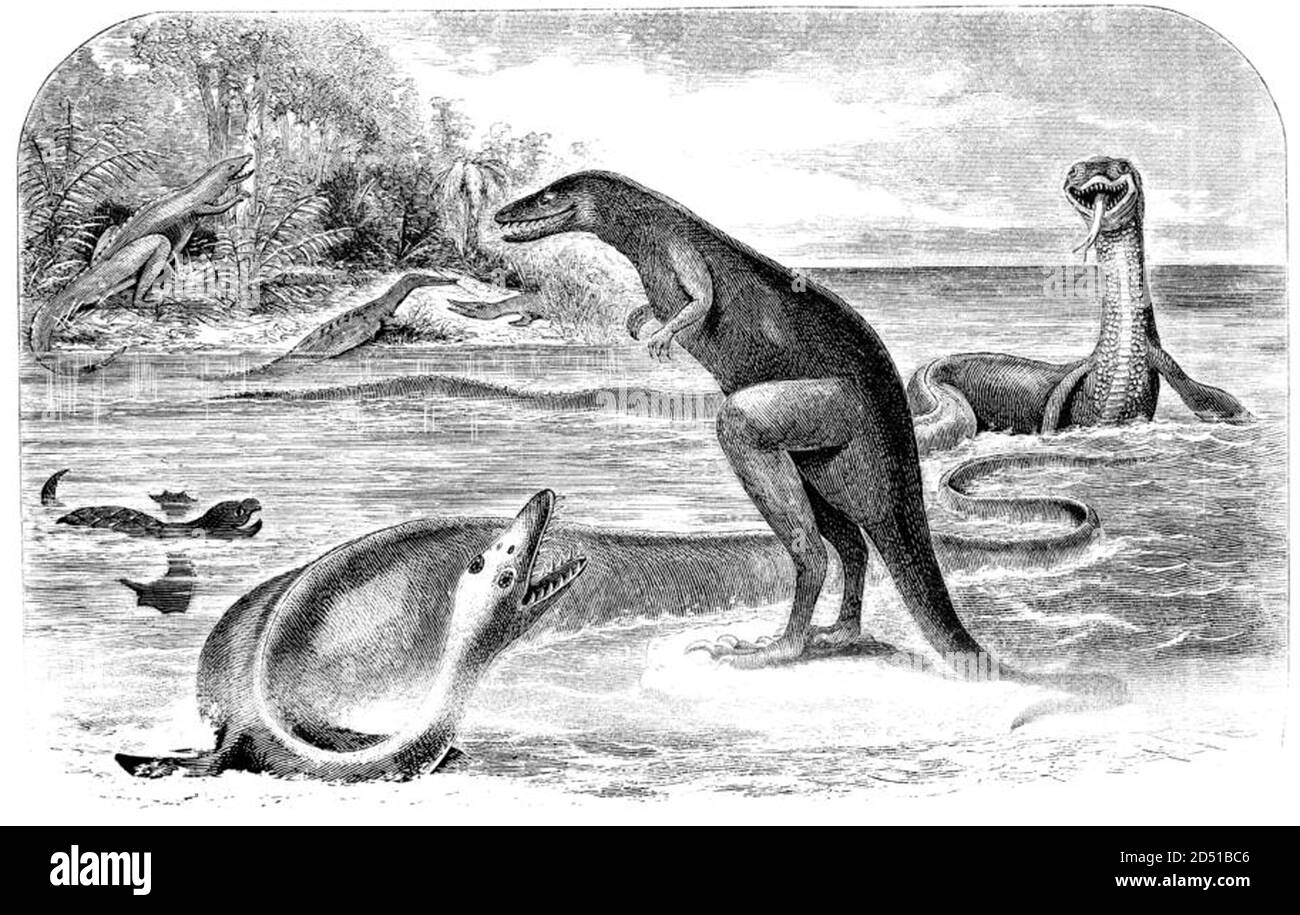 vintage dinosaur extinct animal illustration Stock Photo Alamy