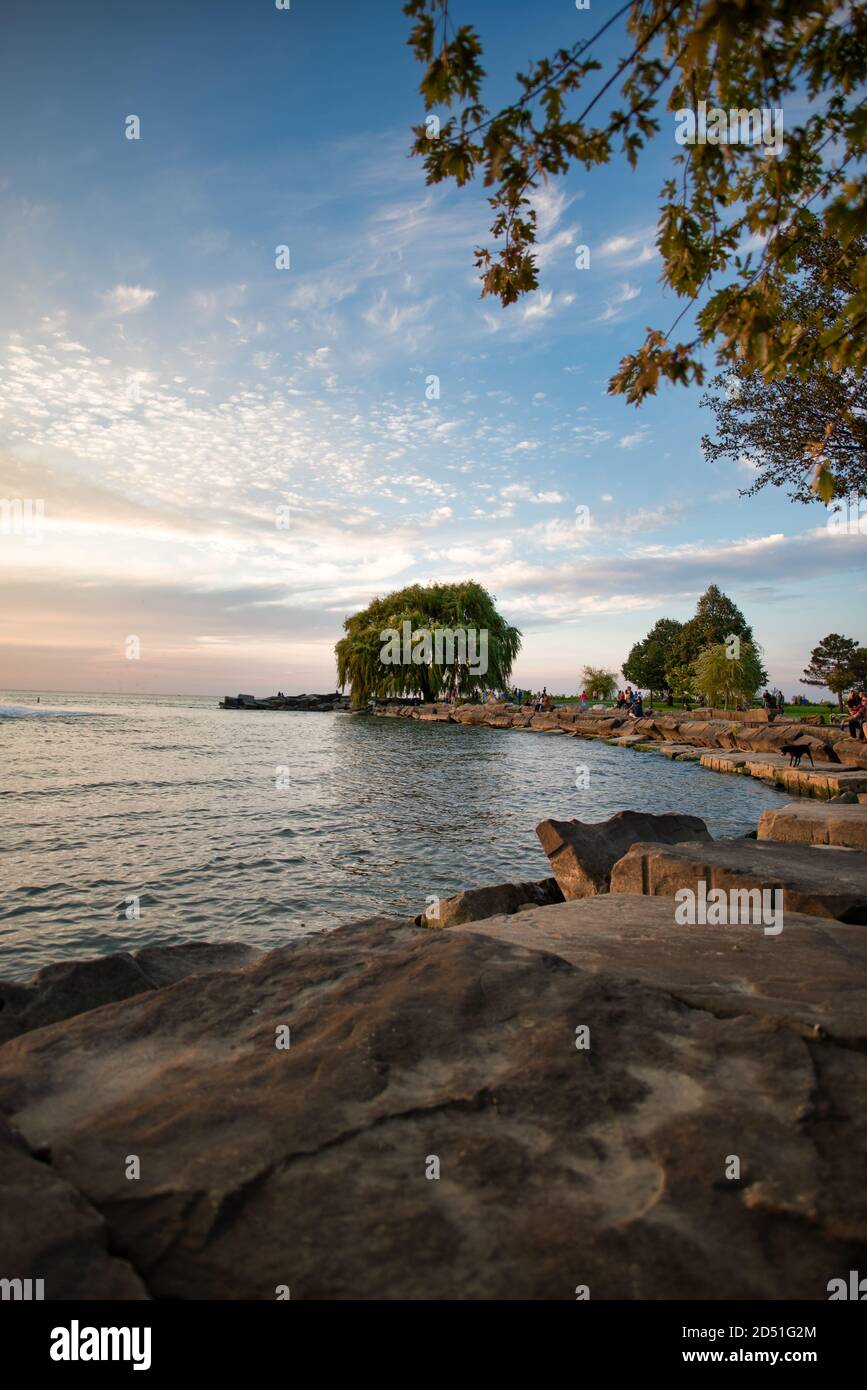 Edgewater Park Willow Tree Ohio Cleveland Stock Photo Alamy