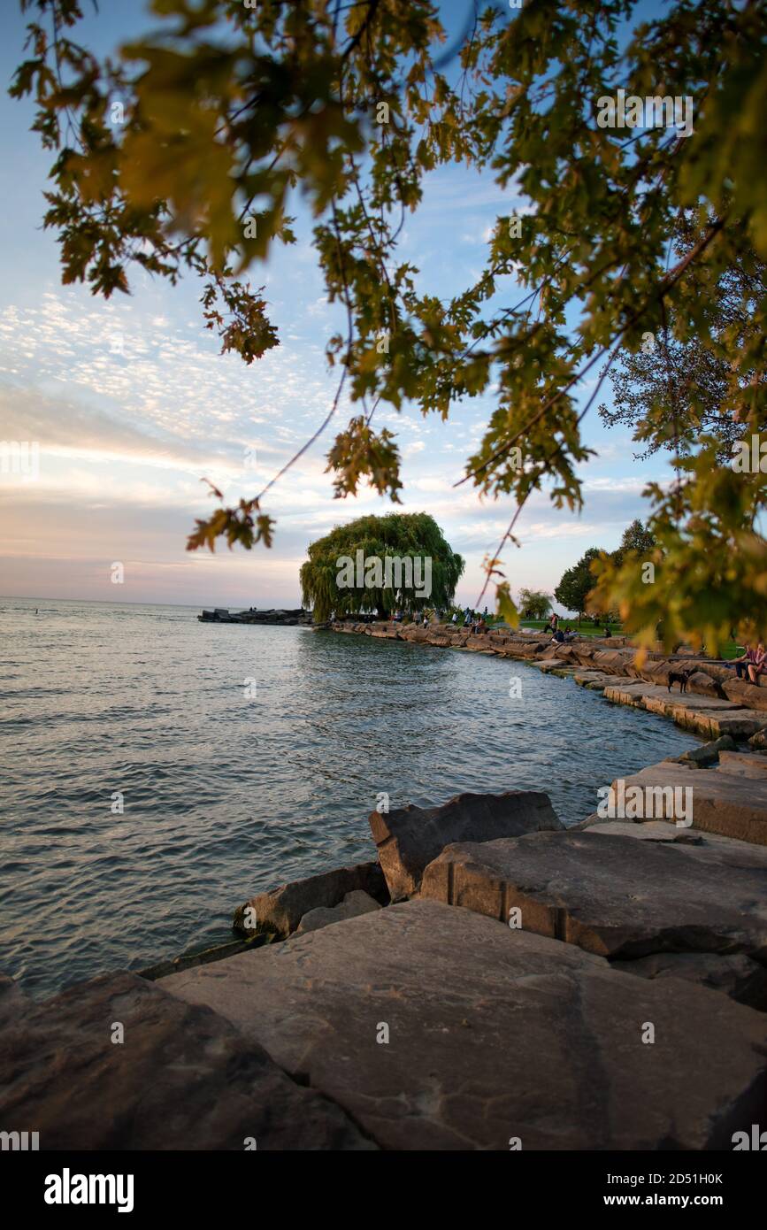 Edgewater Park Willow Tree Ohio Cleveland Stock Photo Alamy