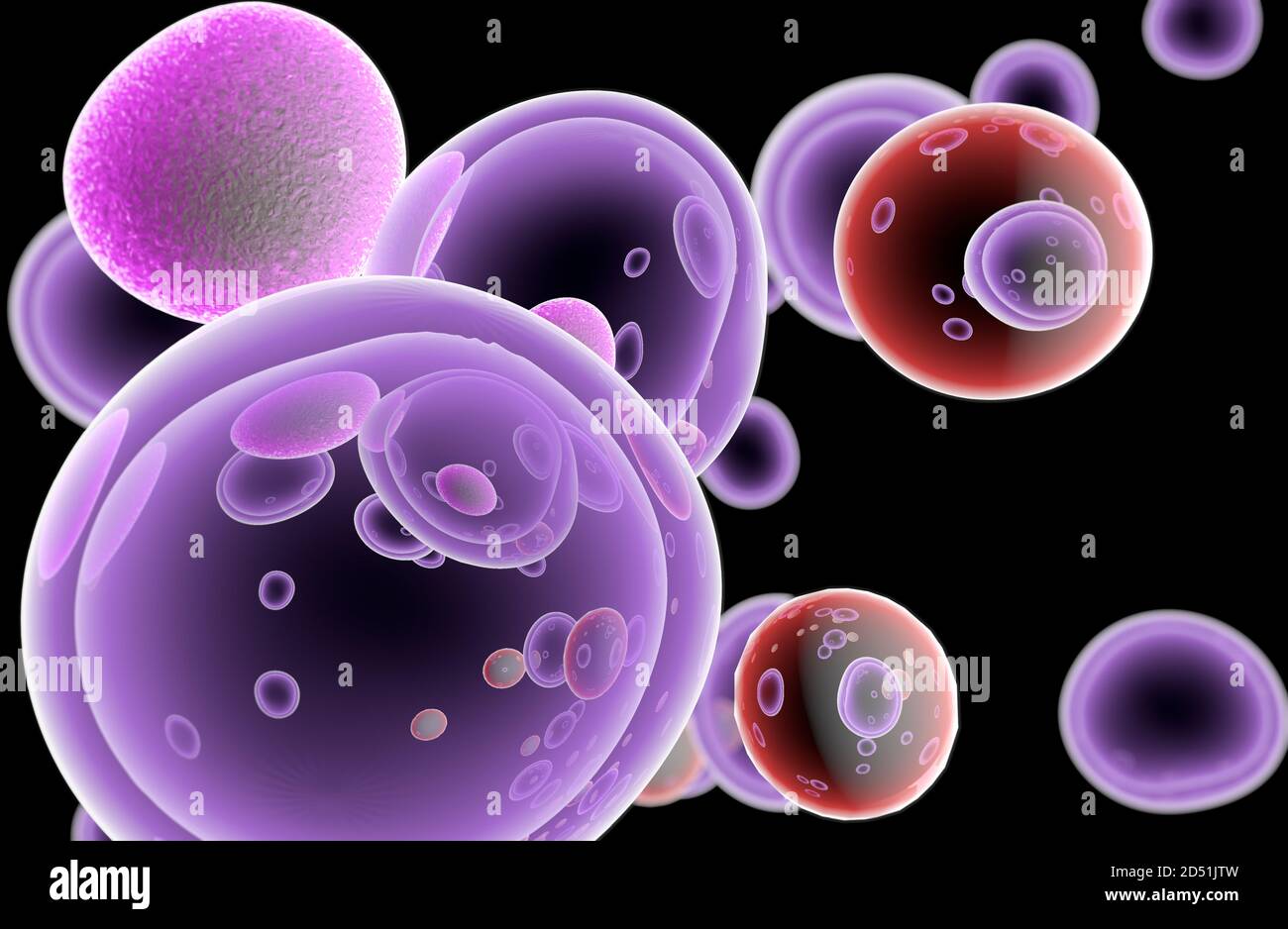 Bone Marrow Cancer Cells High Resolution Stock Photography and Images ...