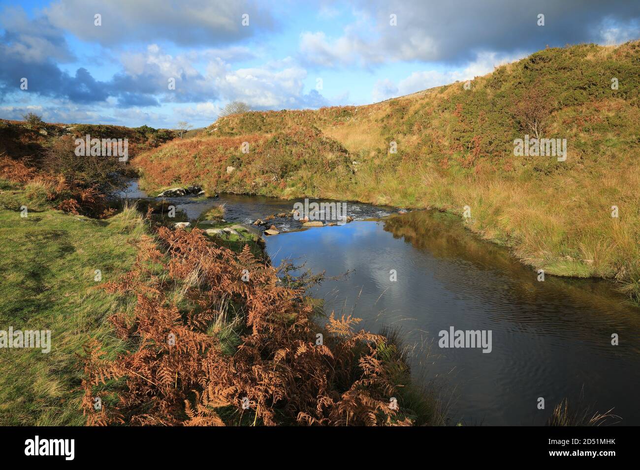 River Taw in Autumn, near Belstone, Dartmoor National Park, Devon, England, UK Stock Photo